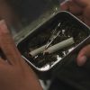 PLL113-0563.jpg