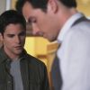 PLL113-0581.jpg