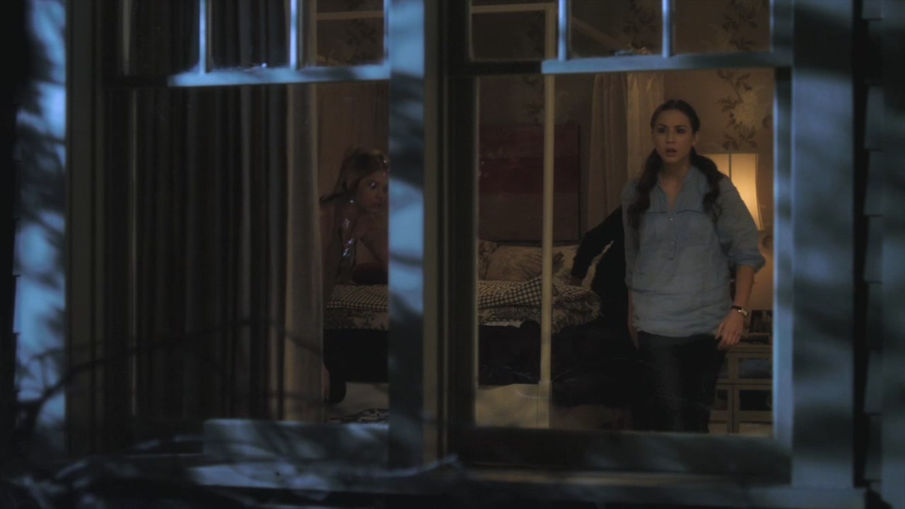 PLL115-1235.jpg