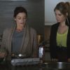 PLL115-0347.jpg