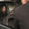 PLL115-0714.jpg