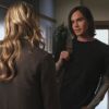 PLL116-0258.jpg