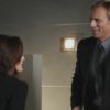 PLL117-0236.jpg