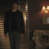 Filename=PLL117-0743.jpg
Filesize=71KiB
Dimensions=1280x720
Date added=Feb 17, 2011 PLL117-0743.jpg