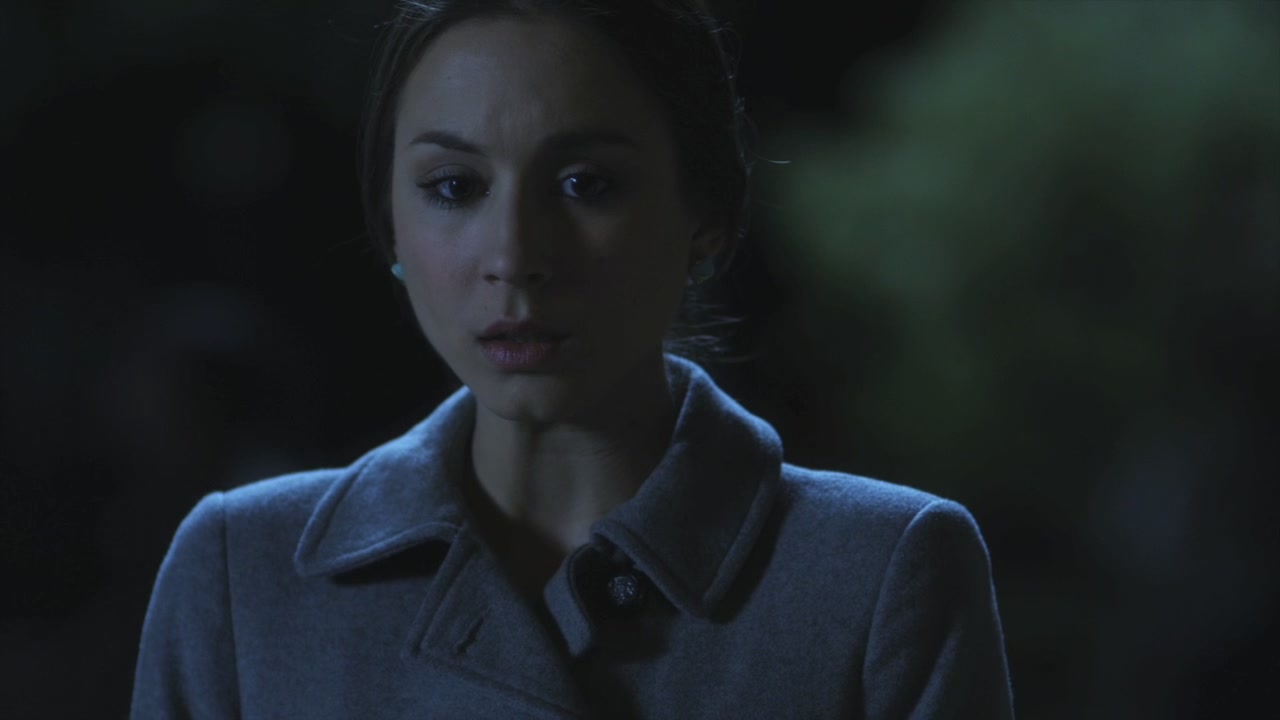 PLL118-1030.jpg