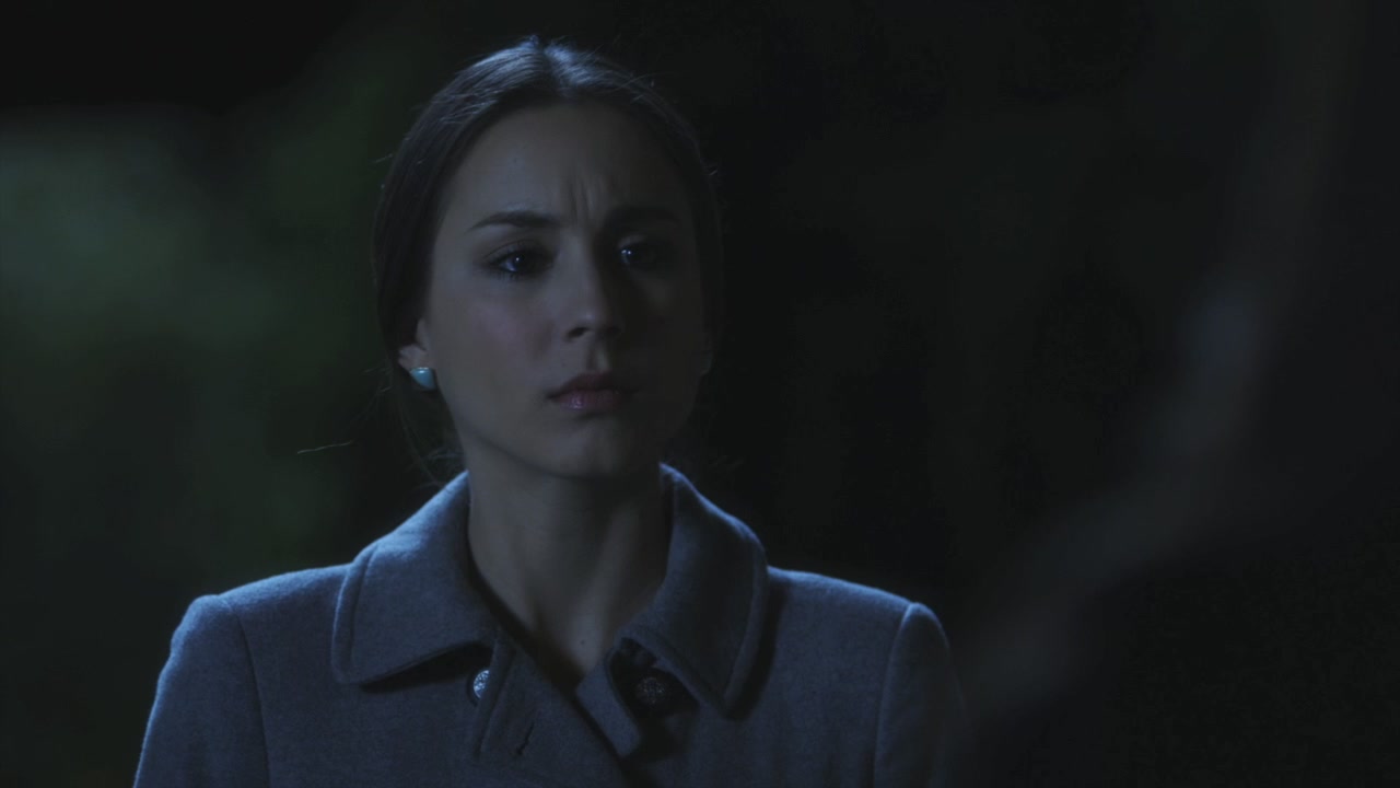 PLL118-1050.jpg