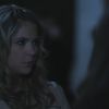 PLL118-1026.jpg