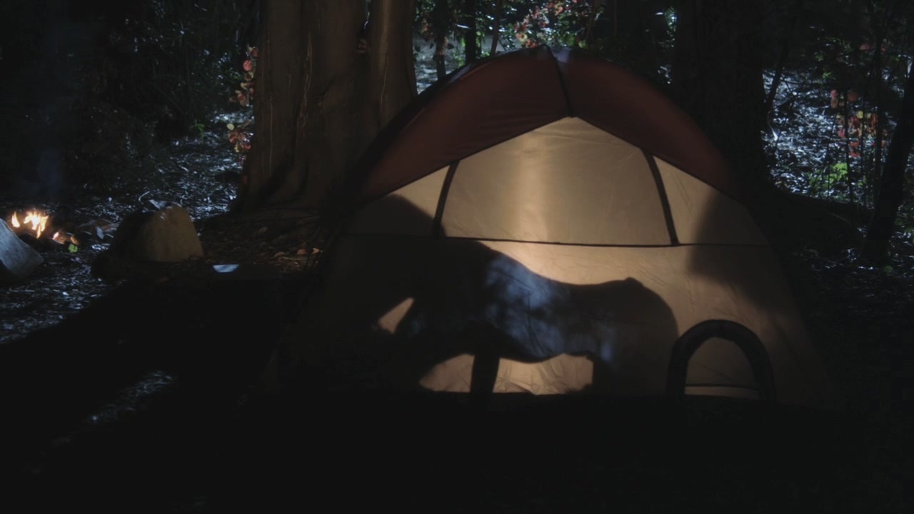 PLL119-0866.jpg