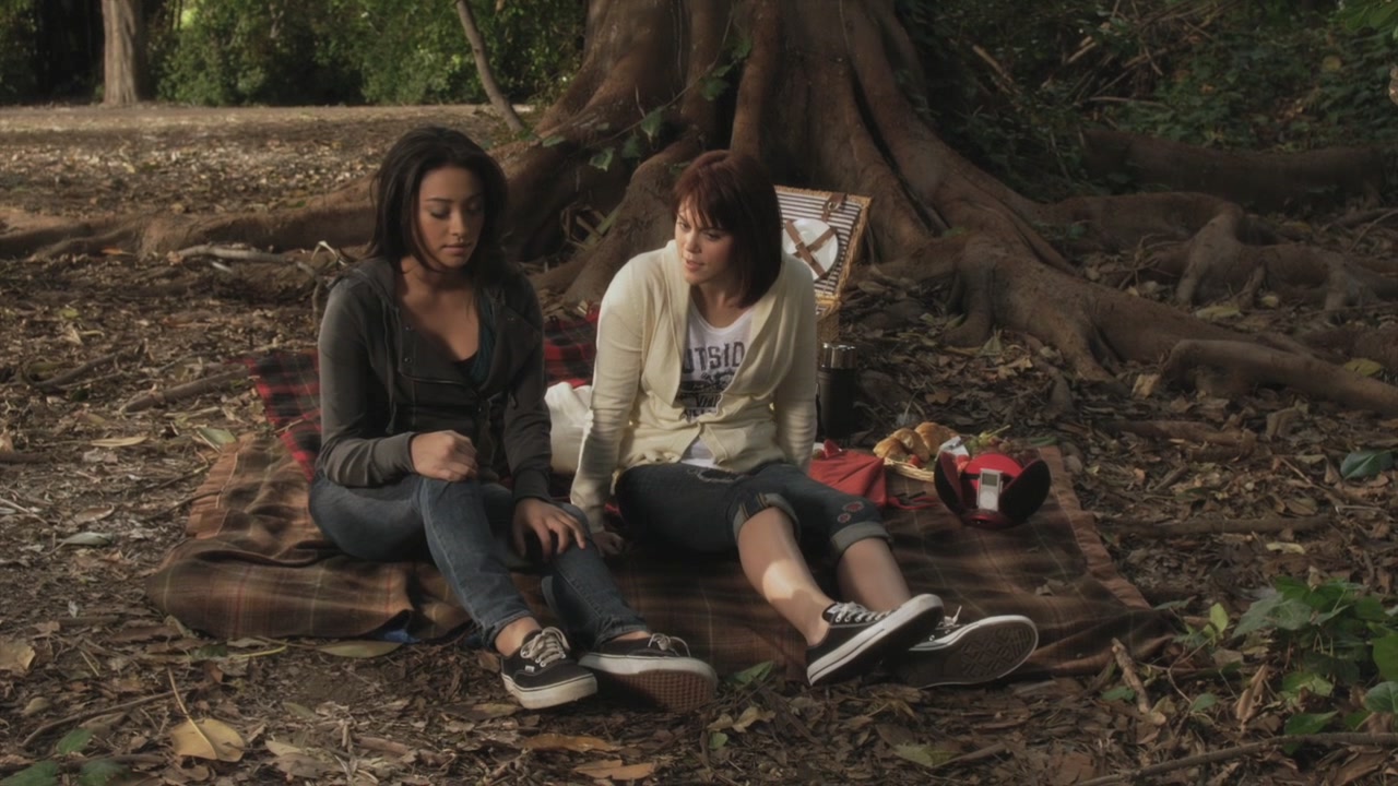 PLL119-0965.jpg