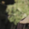 PLL119-0238.jpg