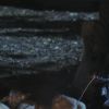 PLL119-0660.jpg
