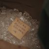 PLL119-0948.jpg