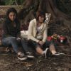 PLL119-0994.jpg