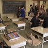 PLL201-0246.jpg