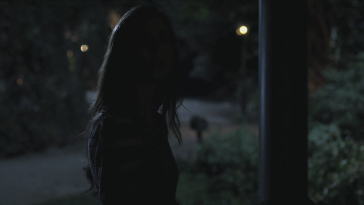 PLL202-0602.jpg