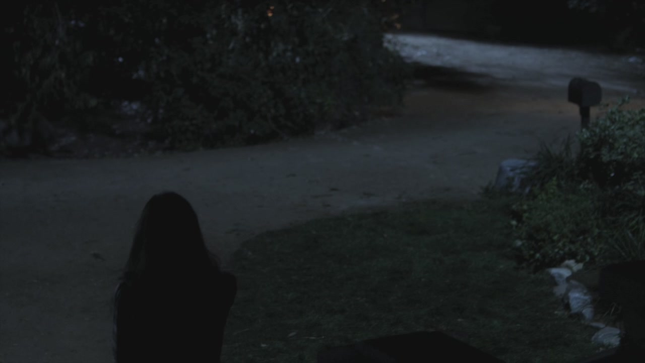 PLL202-0606.jpg