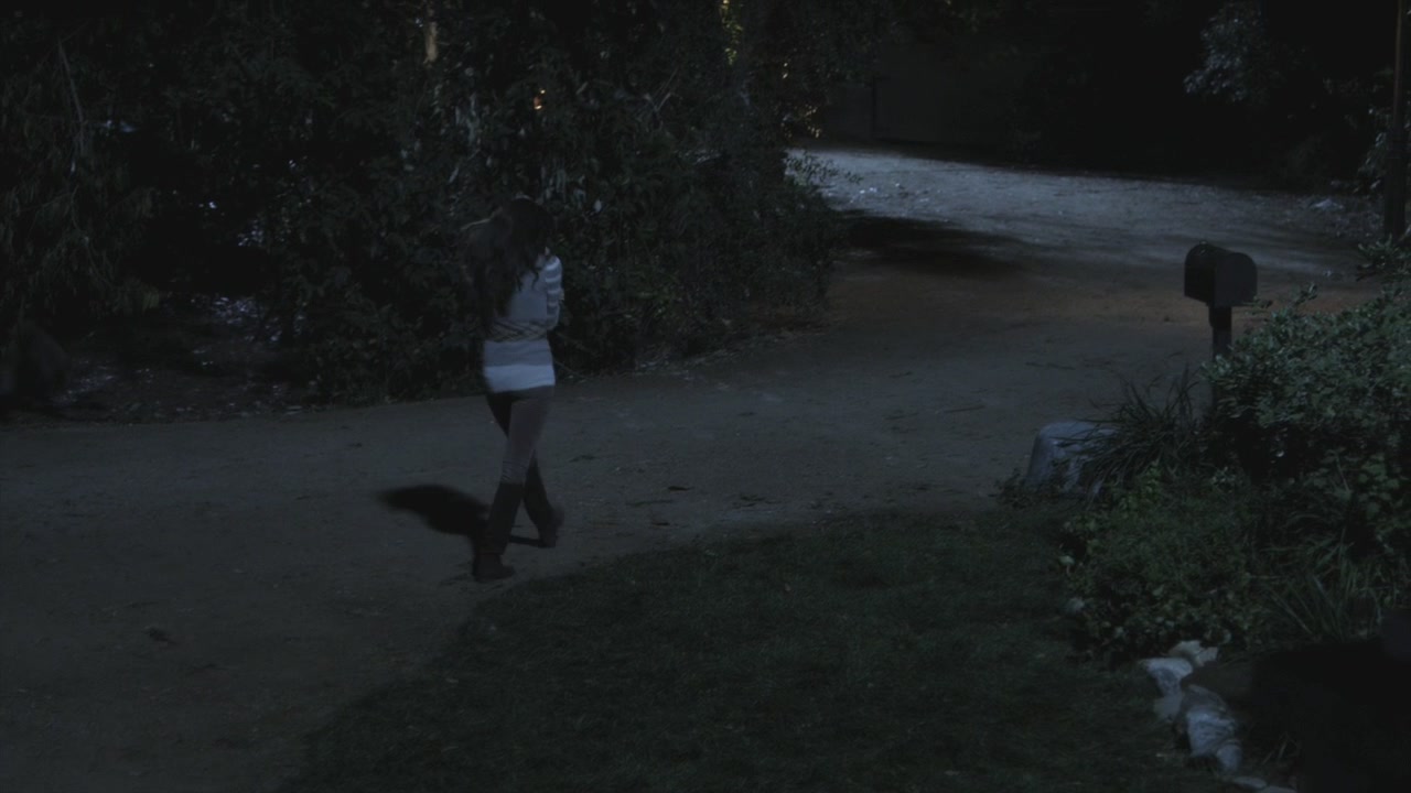 PLL202-0609.jpg