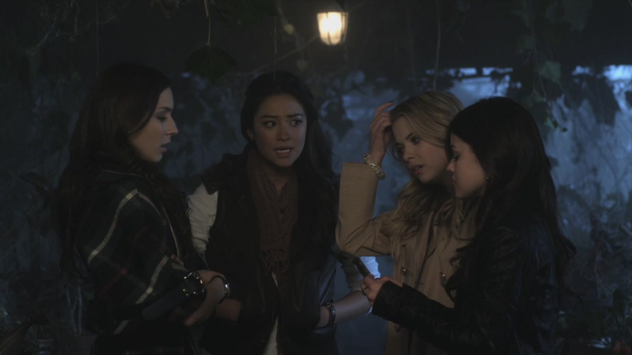 PLL202-1173.jpg