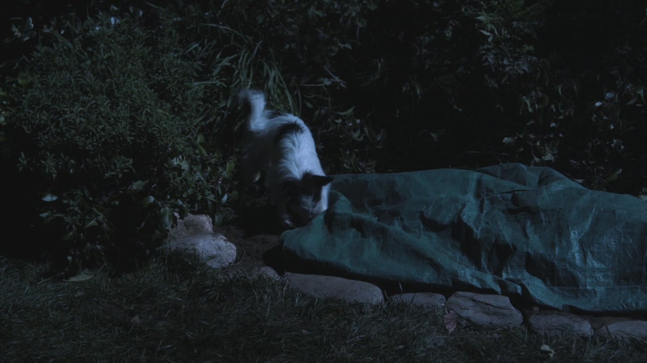PLL202-1211.jpg