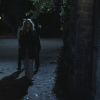 Filename=PLL202-0030.jpg
Filesize=88KiB
Dimensions=1280x720
Date added=Jun 23, 2011 PLL202-0030.jpg