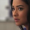 PLL202-0278.jpg
