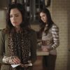 PLL202-0397.jpg