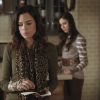 PLL202-0398.jpg