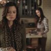 PLL202-0400.jpg