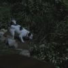 Filename=PLL202-0497.jpg
Filesize=127KiB
Dimensions=1280x720
Date added=Jun 23, 2011 PLL202-0497.jpg