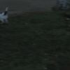 Filename=PLL202-0499.jpg
Filesize=47KiB
Dimensions=1280x720
Date added=Jun 23, 2011 PLL202-0499.jpg