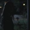 PLL202-0603.jpg