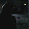 PLL202-0604.jpg