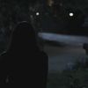 PLL202-0605.jpg