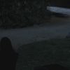 PLL202-0606.jpg