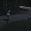PLL202-0609.jpg