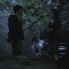 PLL202-0930.jpg