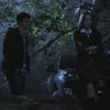PLL202-0931.jpg
