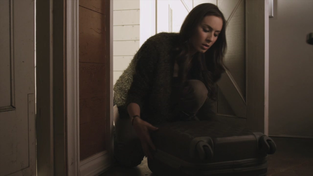 PLL204-0584.jpg