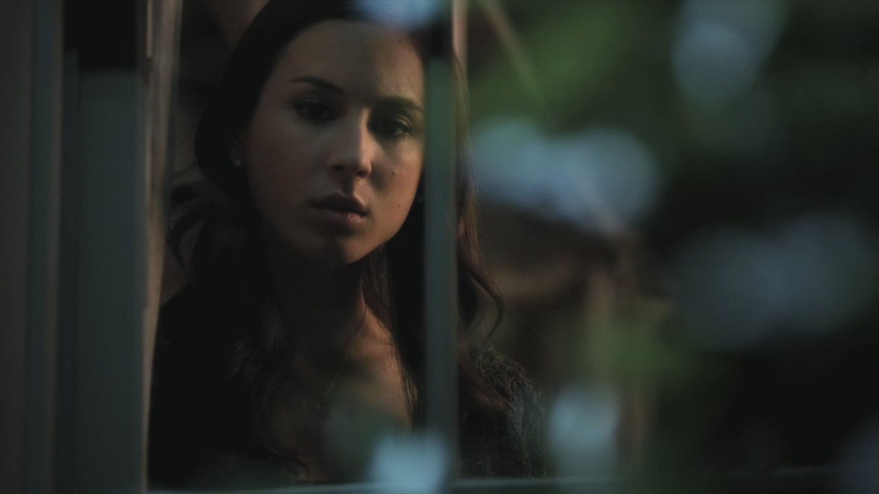 PLL204-0831.jpg