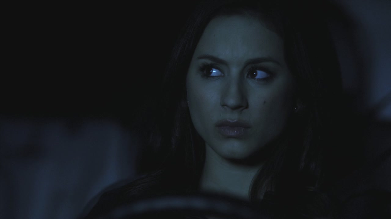 PLL204-1116.jpg