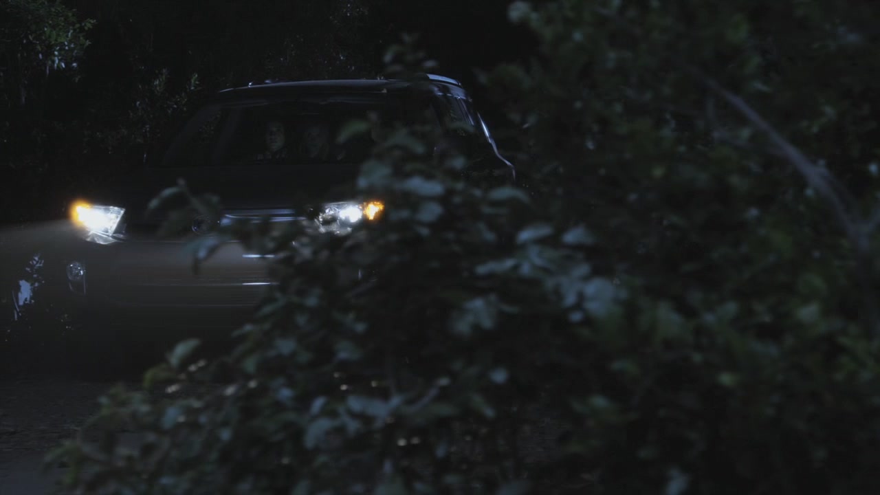 PLL204-1119.jpg