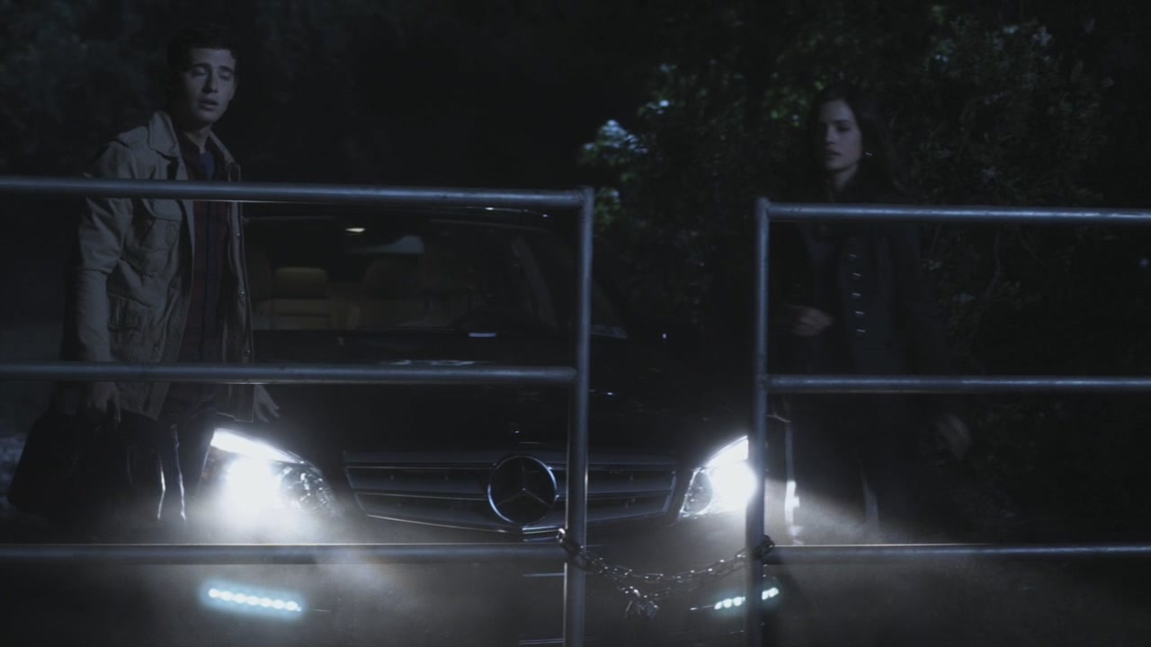 PLL204-1123.jpg