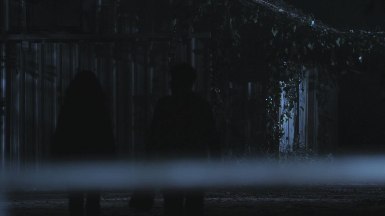 PLL204-1128.jpg