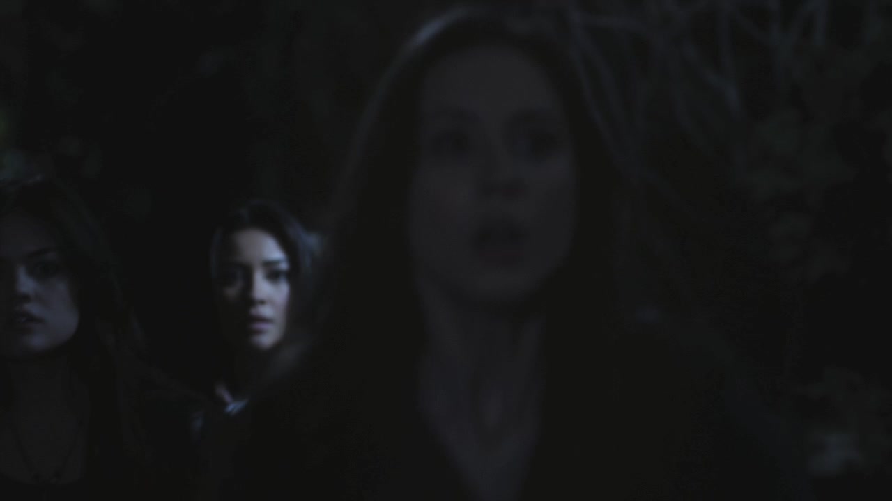 PLL204-1166.jpg