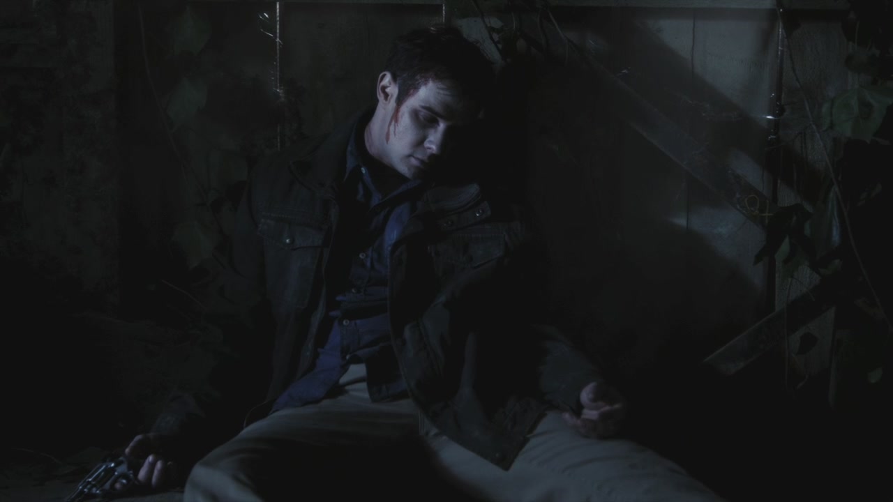 PLL204-1172.jpg