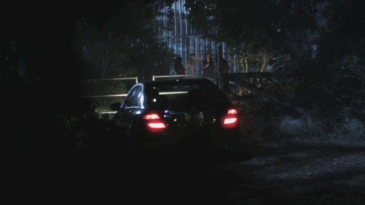 PLL204-1192.jpg