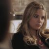 PLL204-0382.jpg