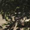 PLL204-0441.jpg