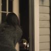 PLL204-0596.jpg