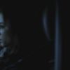 PLL204-1107.jpg